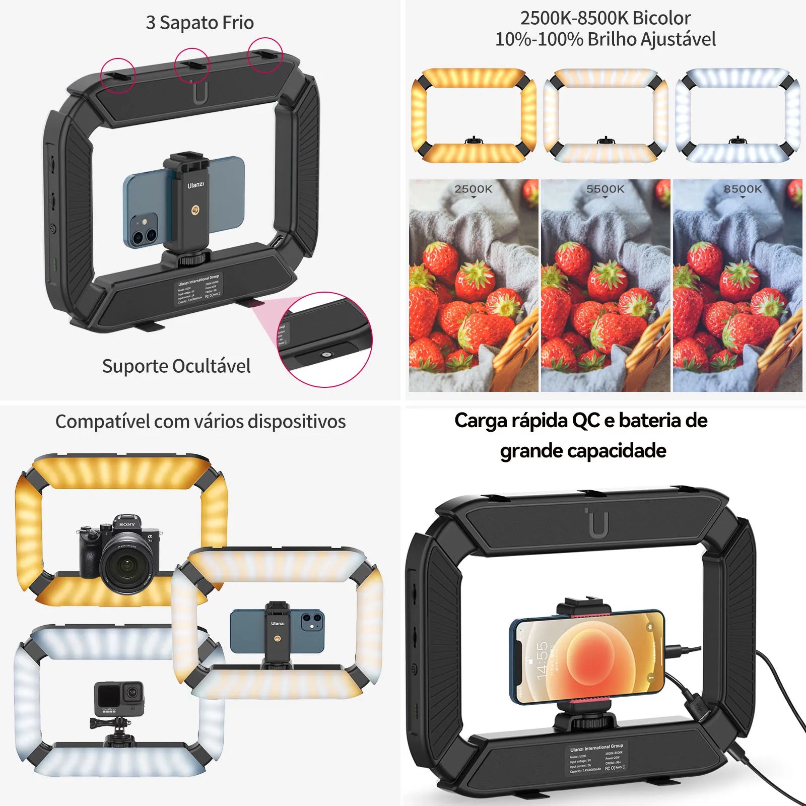 Rig de Vídeo com Luz LED 2 em 1 e Suporte Cold Shoe – Captação de Vídeo