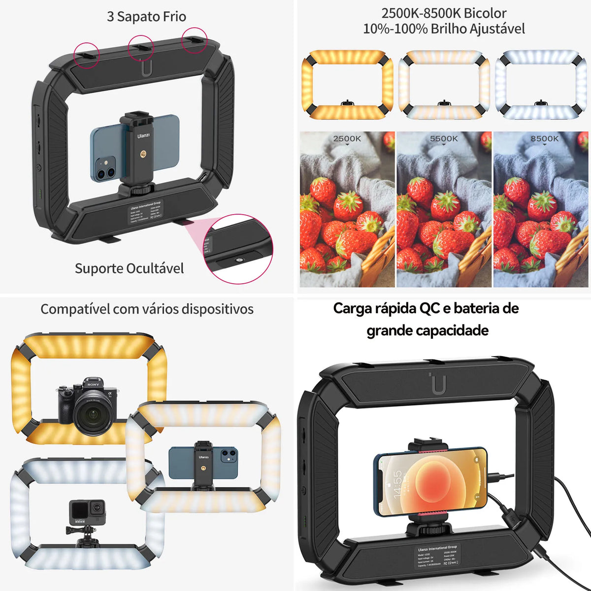 Rig de Vídeo com Luz LED 2 em 1 e Suporte Cold Shoe – Captação de Vídeo